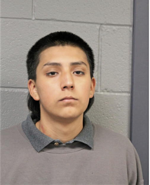ELISEO PATINO, Cook County, Illinois