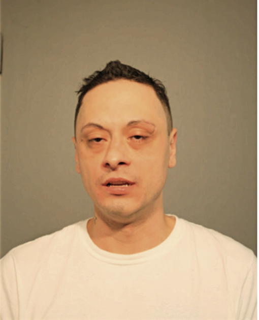 RICARDO SALINAS, Cook County, Illinois