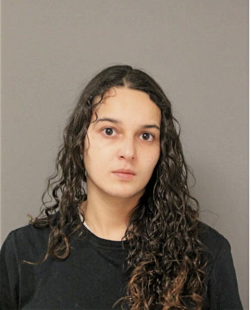 SELENA M SANCHEZ, Cook County, Illinois