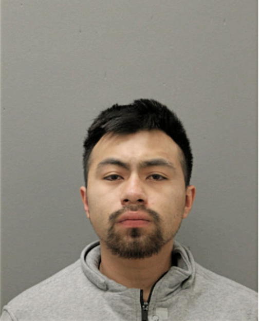 LUIS J SILVA, Cook County, Illinois