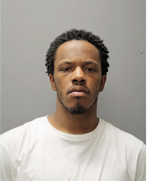 DAVID A SMITH, Cook County, Illinois