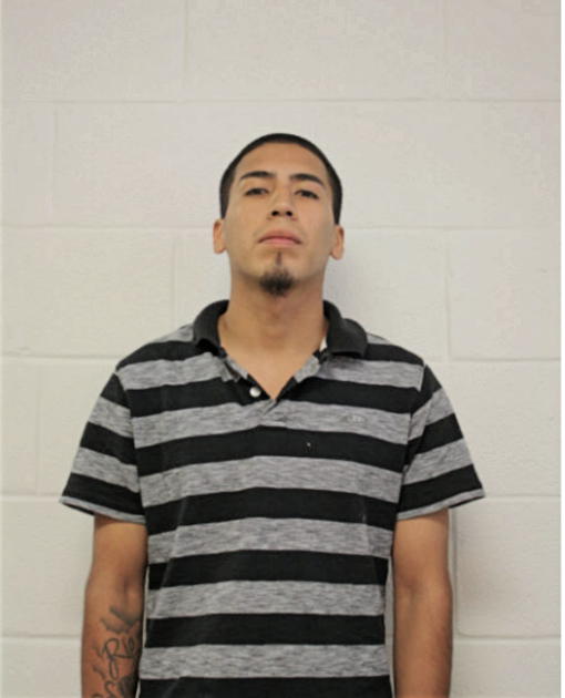JOSE A SOTELO, Cook County, Illinois