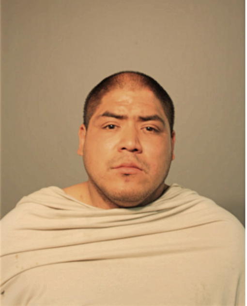ANGEL L TORRES, Cook County, Illinois
