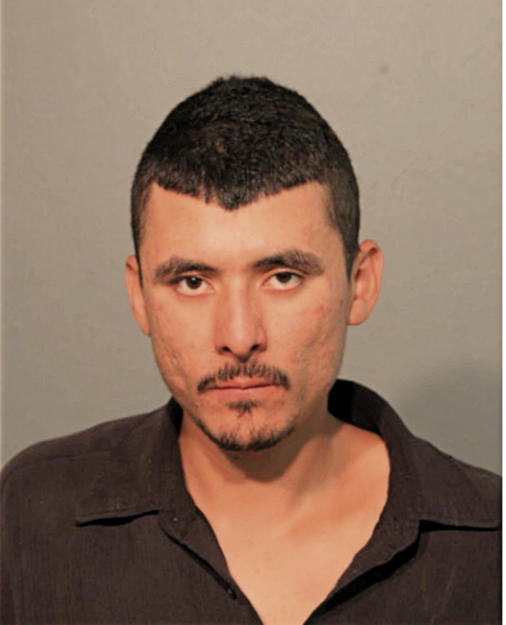 SERGIO M ZEPEDA, Cook County, Illinois
