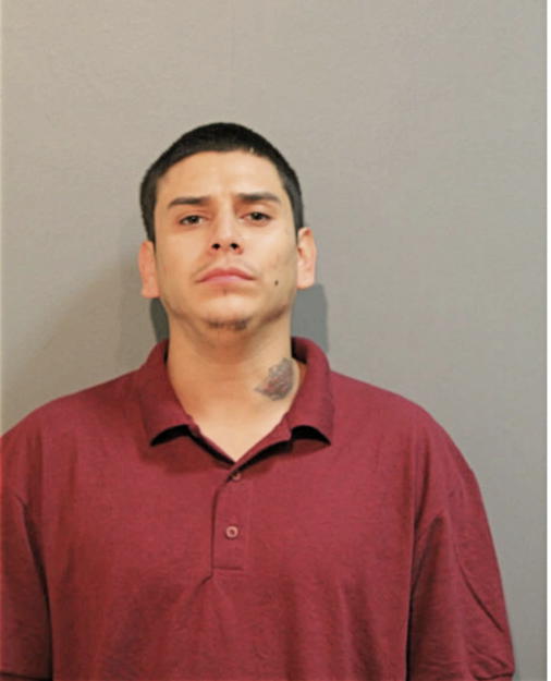 CHRISTOPHER D ALBORES, Cook County, Illinois