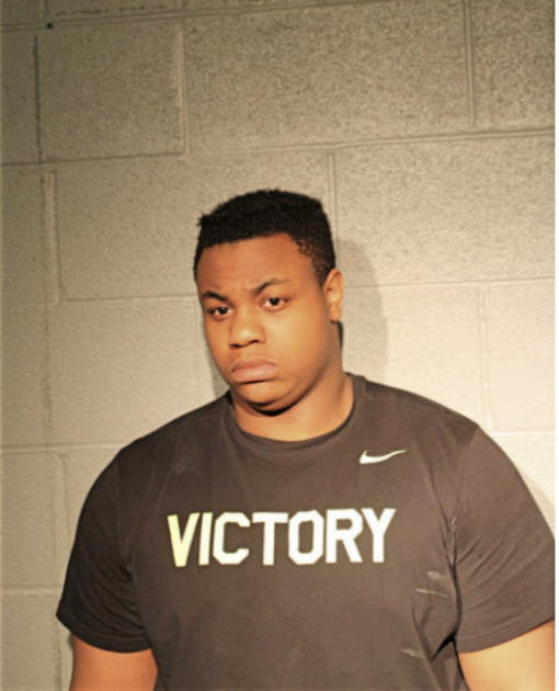 MICHAEL D ANGELO LEWIS-BREWER, Cook County, Illinois