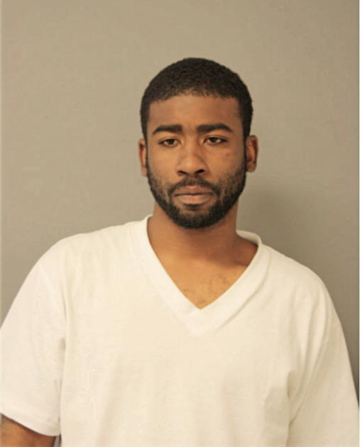 JOHN L BROWN, Cook County, Illinois