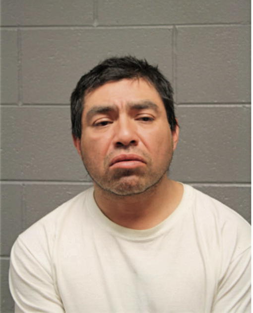 DANIEL M CRUZ, Cook County, Illinois