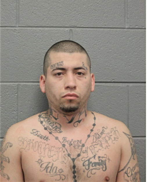 DAVID J CULLINAN, Cook County, Illinois