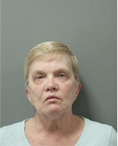 PAMELA A DINTER, Cook County, Illinois