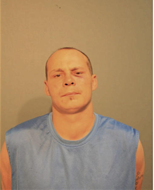 JAMES S DIXON, Cook County, Illinois
