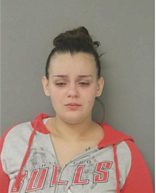 TINA M DOMENECH, Cook County, Illinois