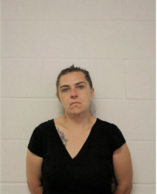 ELIZABETH S DOMINGUEZ, Cook County, Illinois