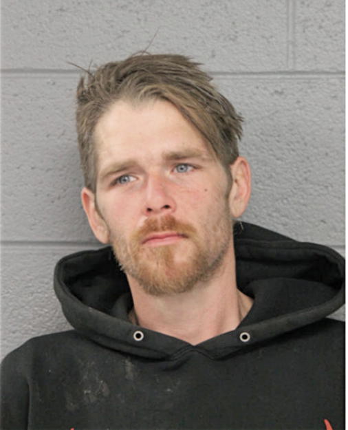 MICHAEL J FARKAS, Cook County, Illinois