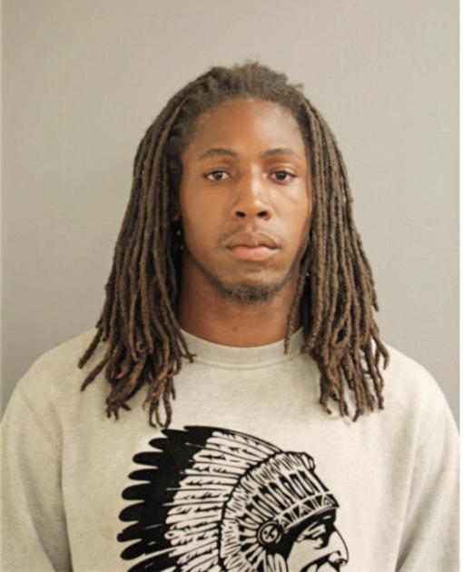 TERRELL T FERGUSON, Cook County, Illinois