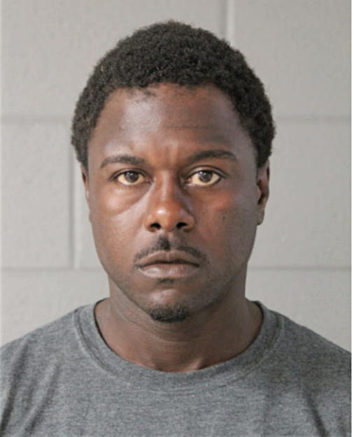DAVID L HUDSON, Cook County, Illinois