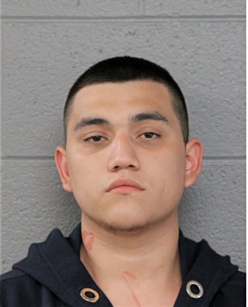 ALFREDO REYES JR, Cook County, Illinois