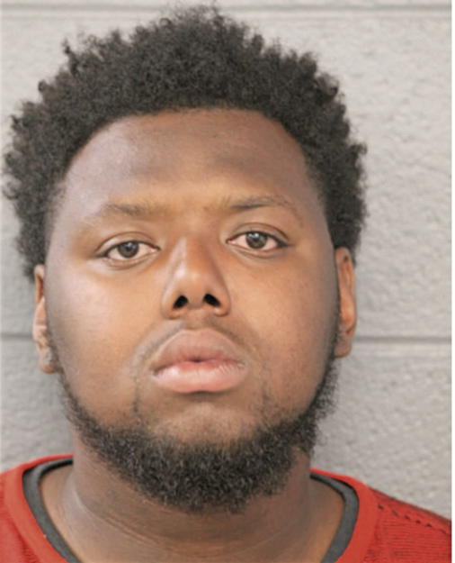 DAVID T LEWIS, Cook County, Illinois