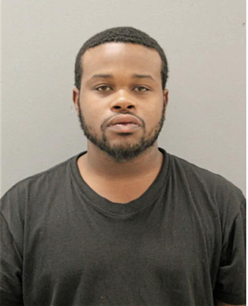 RAPHAEL D LOVE, Cook County, Illinois