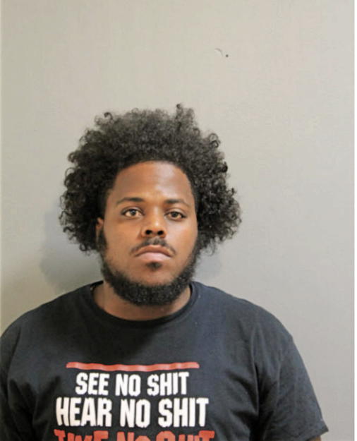 ROBERT O LYONS, Cook County, Illinois