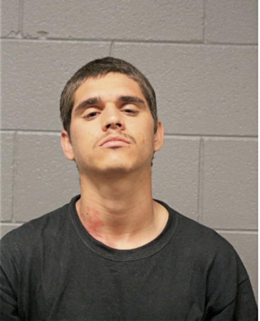 GABRIEL JUAN MAGDALENO, Cook County, Illinois