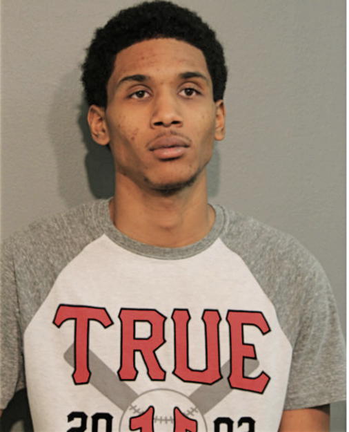 BRANDON N MCDONALD, Cook County, Illinois