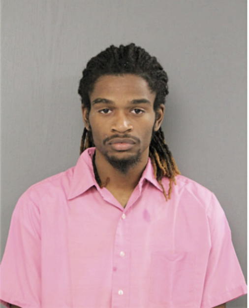 DARRYL L MCKINNEY, Cook County, Illinois