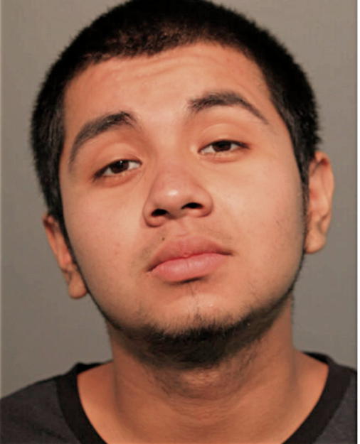 ALEJANDRO MEJIA-LOPEZ, Cook County, Illinois