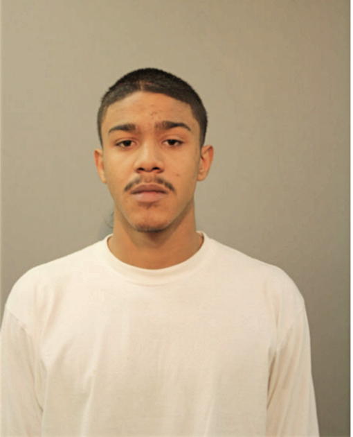 JAVIER MENDEZ, Cook County, Illinois