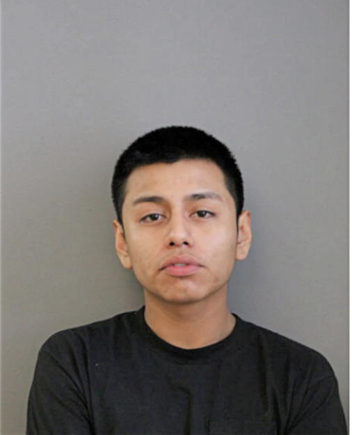SERGIO J OCAMPO, Cook County, Illinois