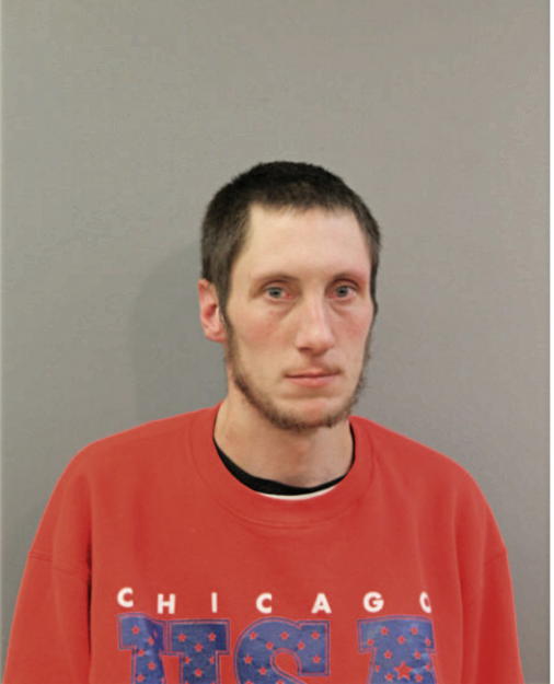BRANDON L PIATKIEWICZ, Cook County, Illinois