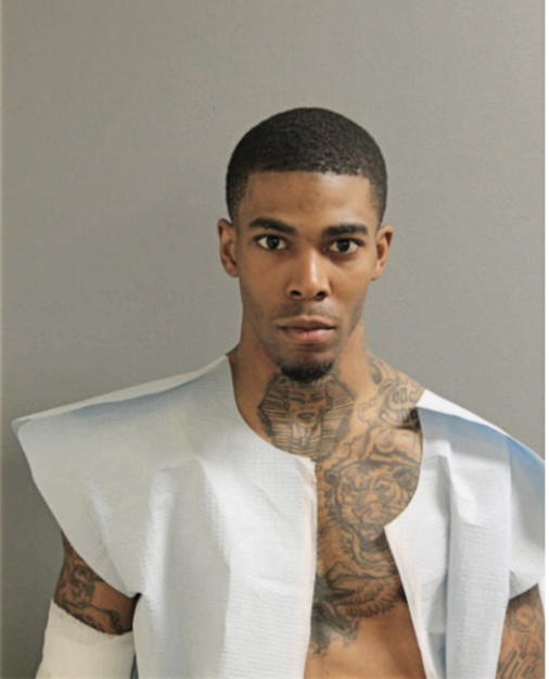 JEREMY D TERRY, Cook County, Illinois