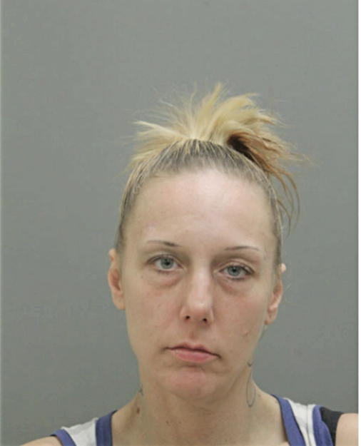 BRIANNA R VANDERWATER, Cook County, Illinois