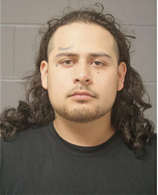 ADRIEL ALVAREZ, Cook County, Illinois