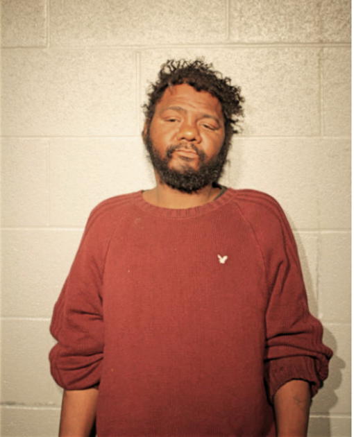 WILLIE E AUSTIN, Cook County, Illinois