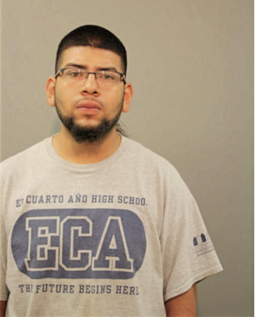 NOE A BAHENA, Cook County, Illinois