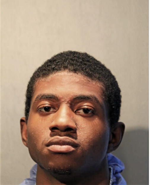 KAMAU Q BROWN, Cook County, Illinois