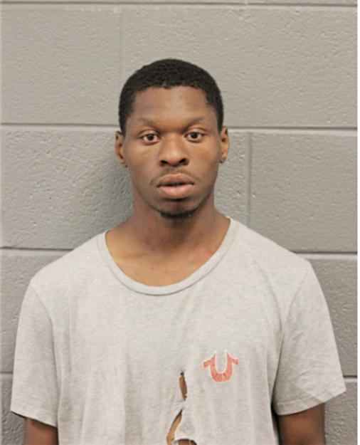 TERRENCE T BURTON, Cook County, Illinois