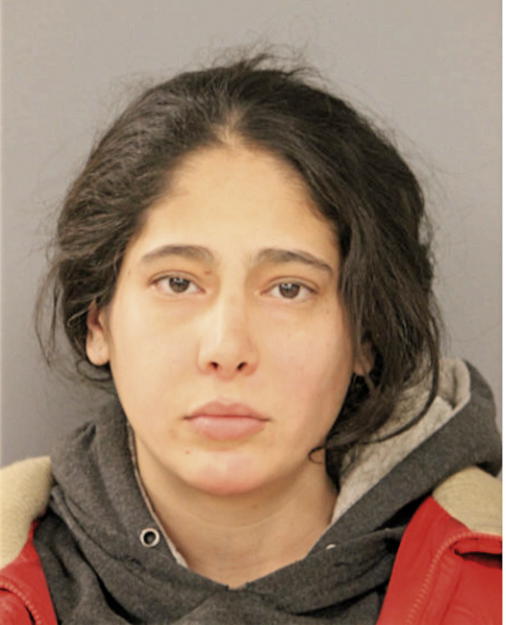 LISANDRA M COLON, Cook County, Illinois