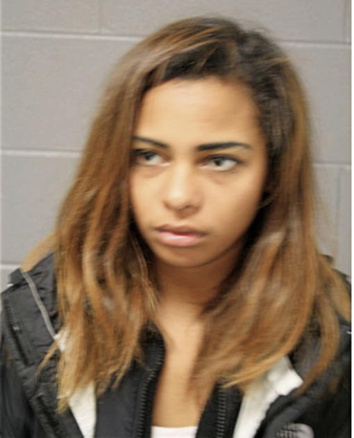 BEATRIZ DIAZ, Cook County, Illinois