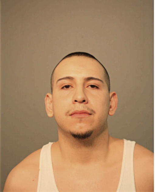 ALEXANDER D GARCIA, Cook County, Illinois