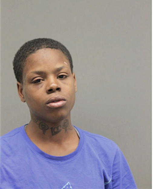 BRITTANY L HARDY, Cook County, Illinois