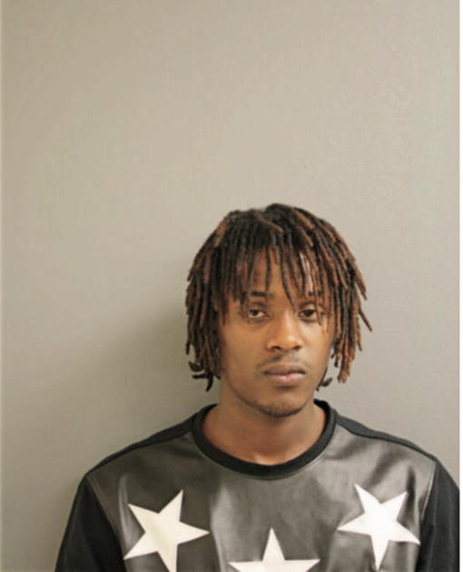 CALVIN L HAYES, Cook County, Illinois