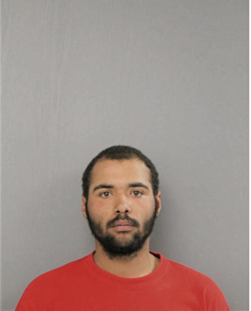 TERRANCE D HUGHES, Cook County, Illinois