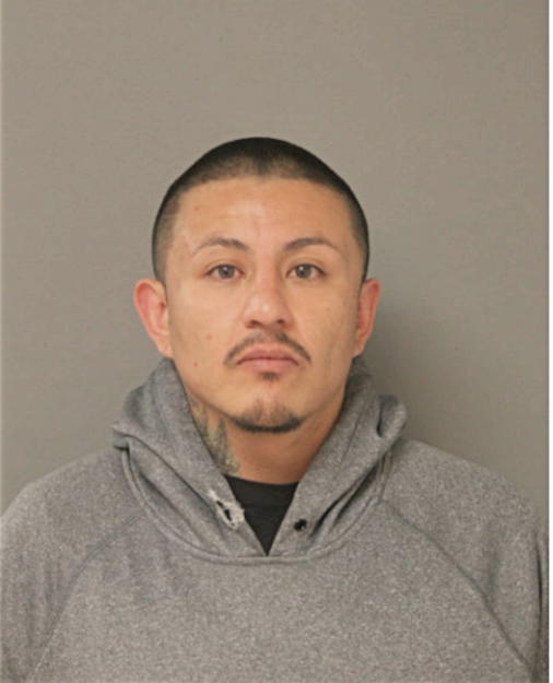 PAUL A JACOME, Cook County, Illinois