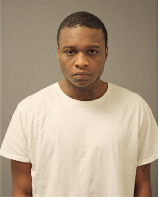 DANIEL M JOHNSON, Cook County, Illinois