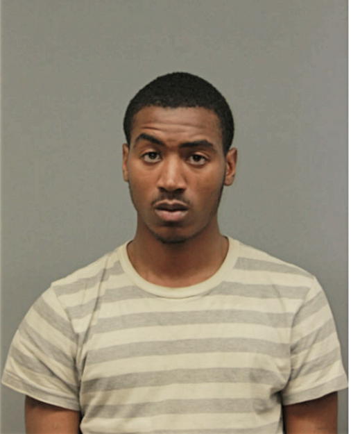 MICHAEL P LEE, Cook County, Illinois