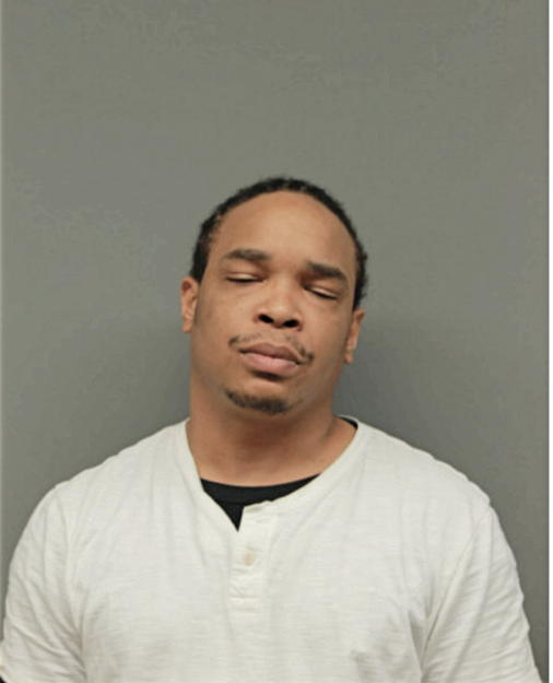 ALI S NOBLE, Cook County, Illinois