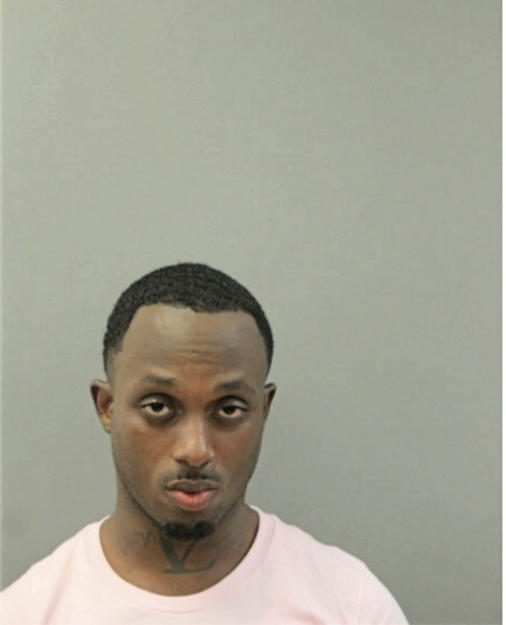 DARIAN R REED, Cook County, Illinois