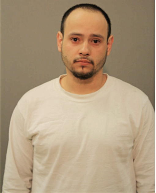 MICHAEL J REYES, Cook County, Illinois